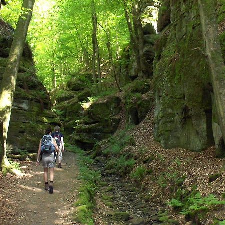 Hostellerie De La Vallee Heffingen Zewnętrze zdjęcie